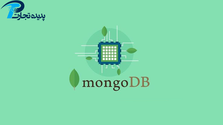 Introduction and training of MongoDB Isfahan